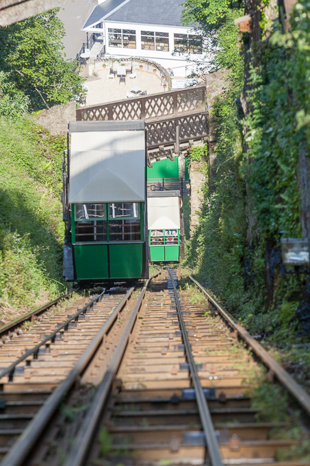 Lynton 2014 (05)